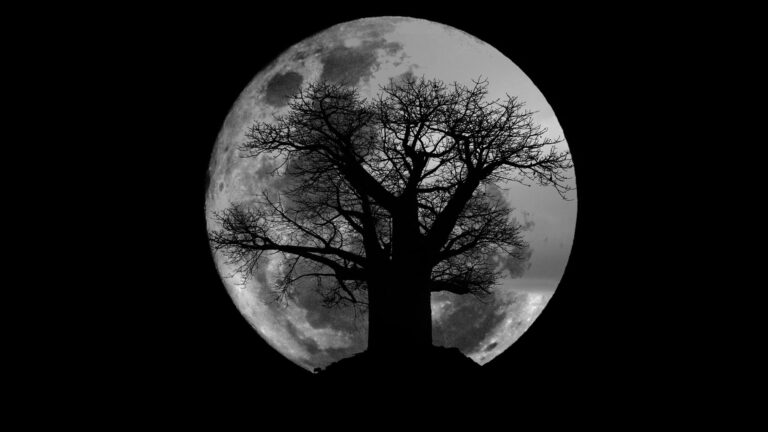 Full_Moon